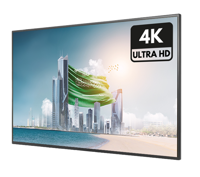 Indoor Wall Mounted Screen